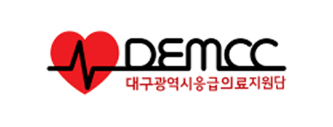 대구광역시 응급의료지원단